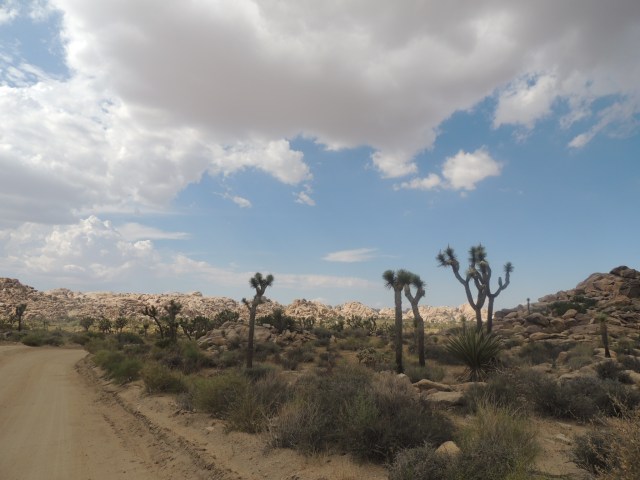 974D85EE-7FF5-4FE9-AEB7-F15A37D78505